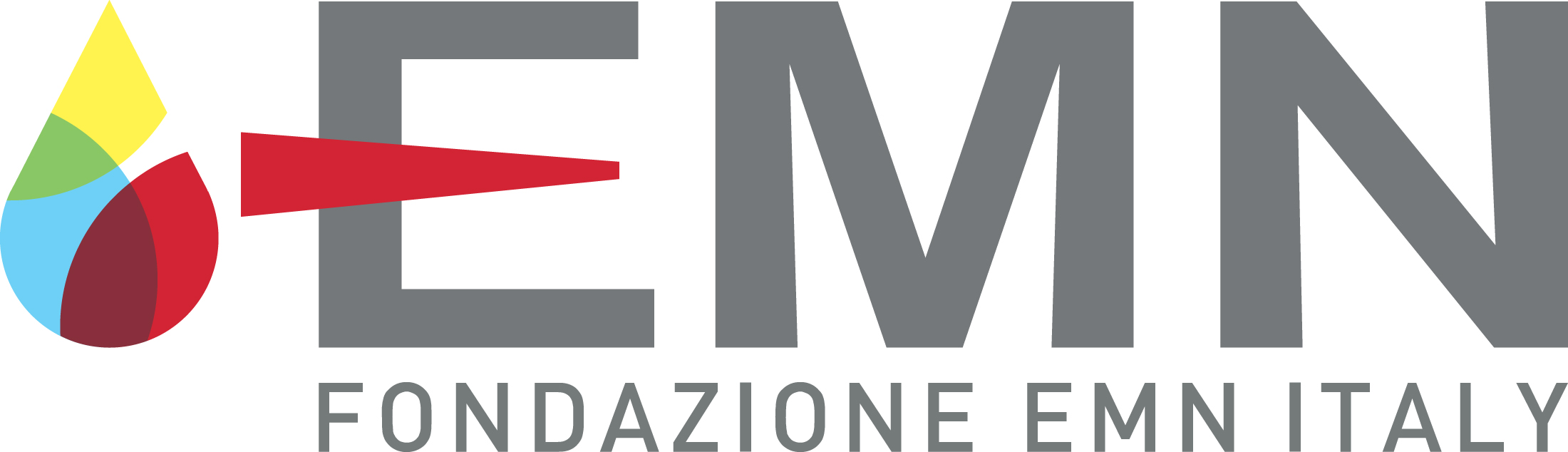 FO.NE.SA. diventa Fondazione EMN Italy Onlus