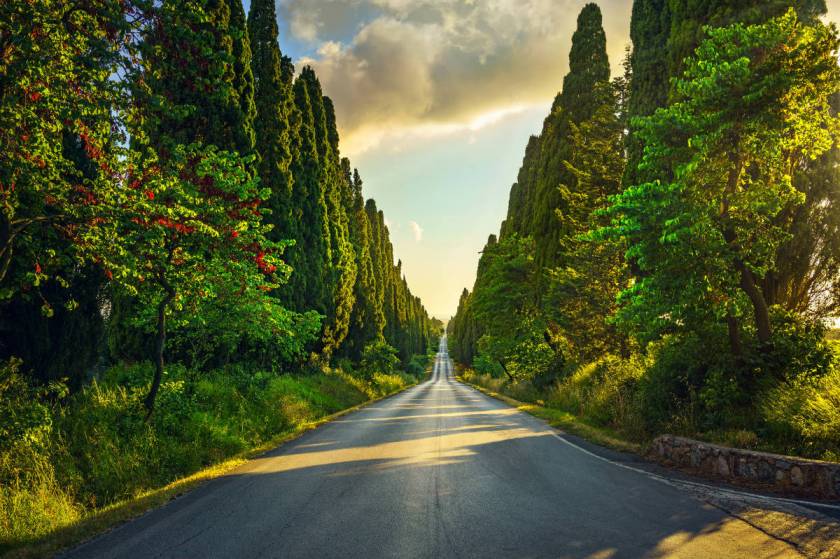 Bolgherirun2020: l'evento che ti permette di scoprire gli angoli più belli della Toscana