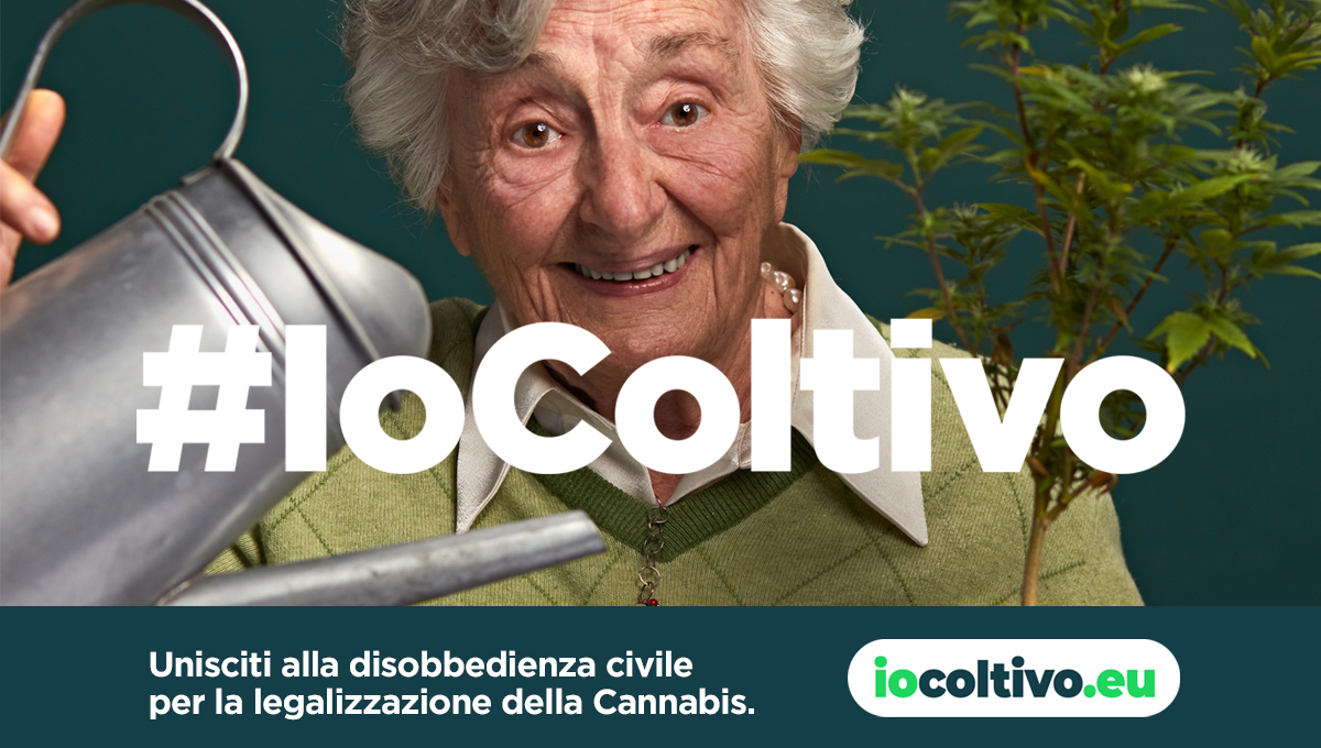 #IoColtivo, al via la campagna di disobbedienza civile pro cannabis