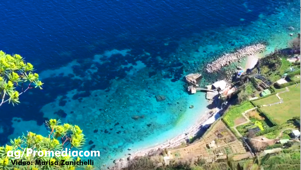 Capri. La Natura non si ferma, fascino e Suggestione “A picco sul mare” in pieno lockdown