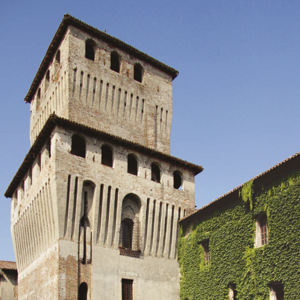 Attualità e pandemia: 8 domande all'imprenditore Giuseppe Scaltriti, proprietario del Castello di Roccabianca