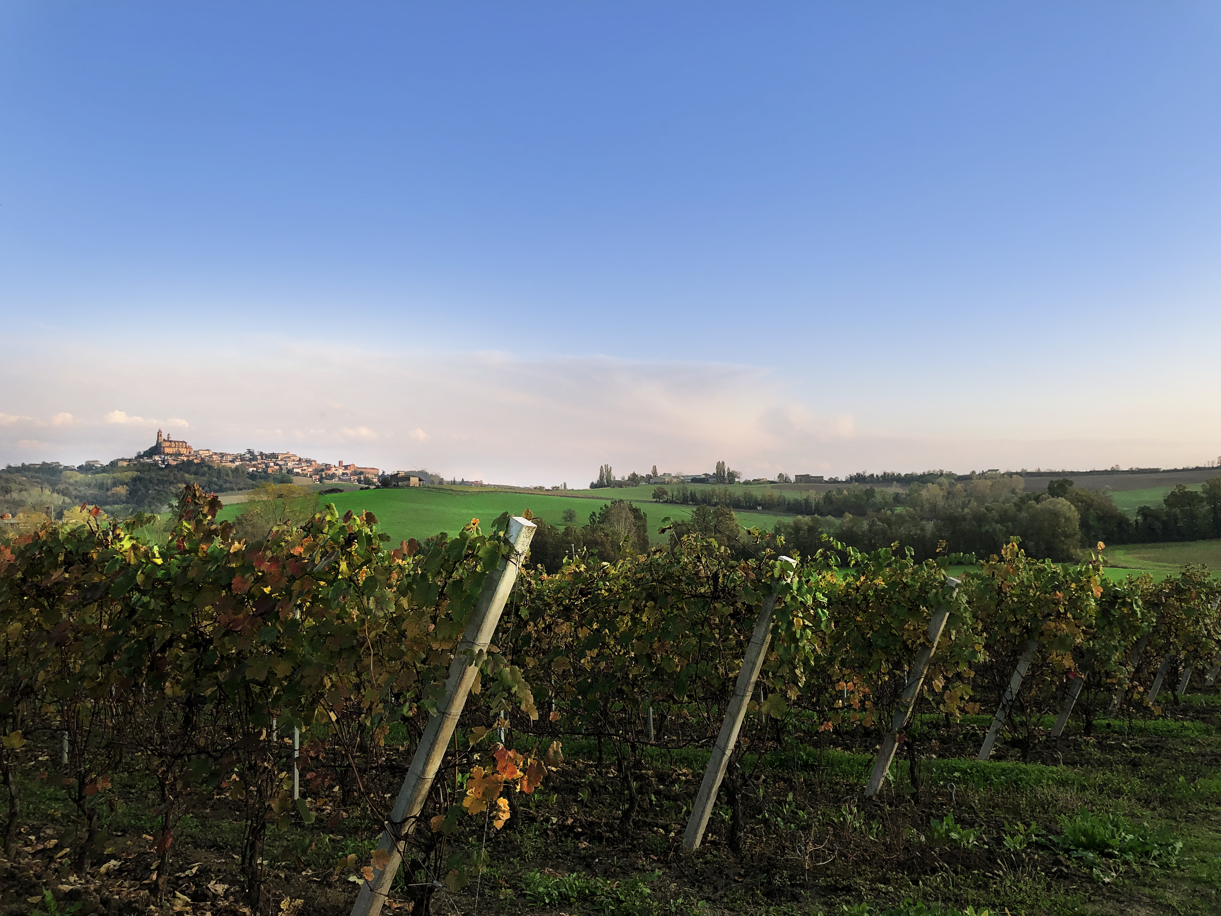 Hic et Nunc presenta  il Barbera del Monferrato Superiore Docg MONumento 2017: una nuova etichetta per un nuovo sguardo sul Monferrato