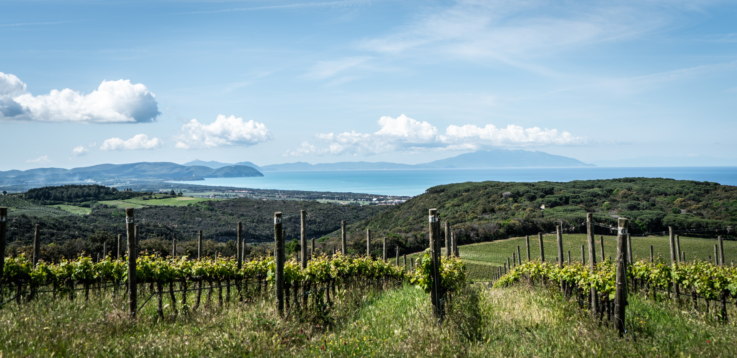 Tenuta Argentiera: quando l’eleganza secolare di un territorio diventa vino