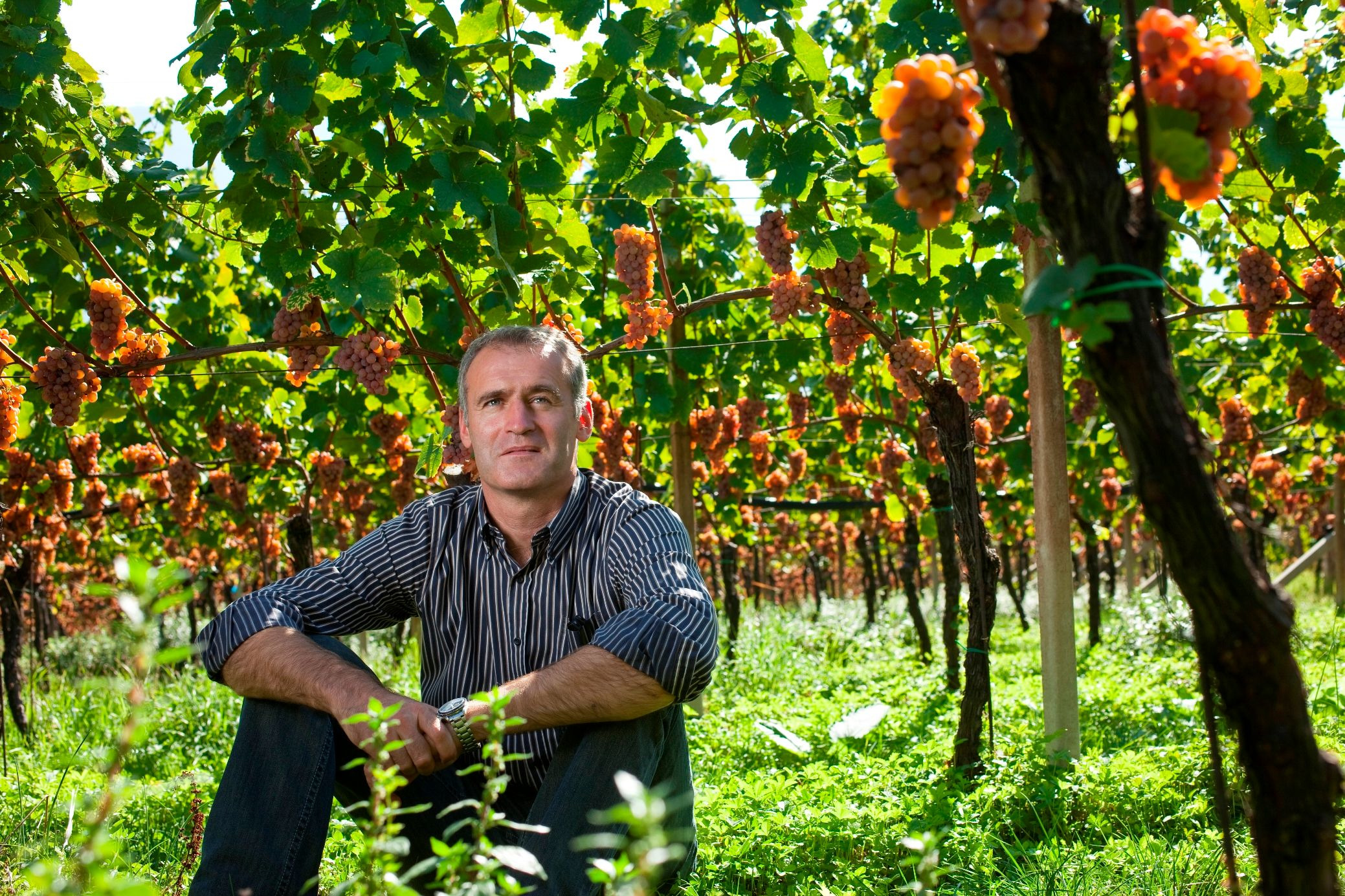 TRAMIN E LA NUOVA VITA DELLA CUCINA D’AUTORE: QUATTRO RACCONTI DI RESILIENZA GOURMET