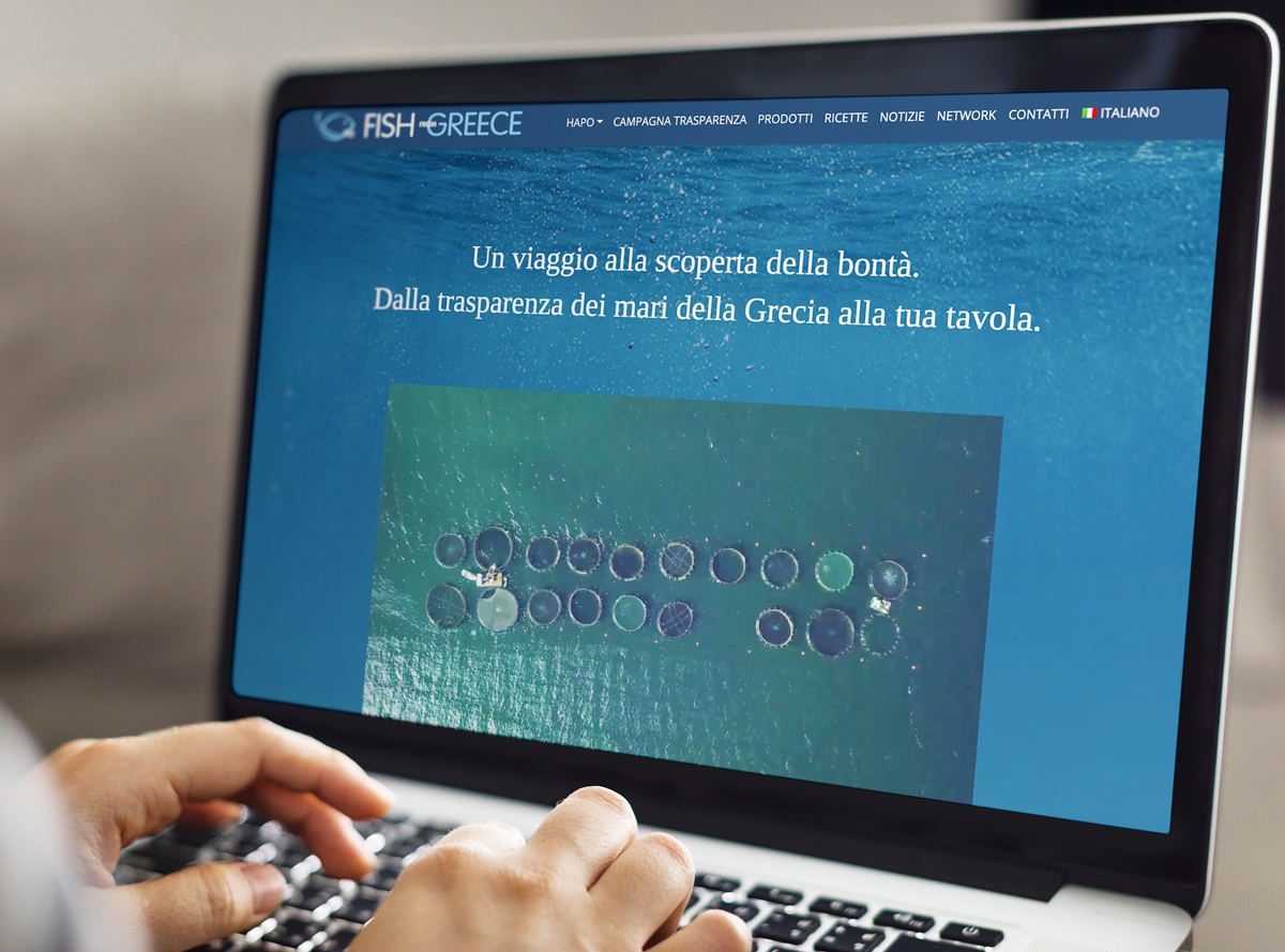 Nuovo look per il sito di Fish from Greece: dal restyling della grafica all’aggiunta di contenuti all’insegna della “trasparenza”