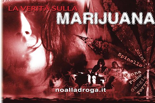 MARIJUANA SINTETICA NON UNO “SBALLO NATURALE”