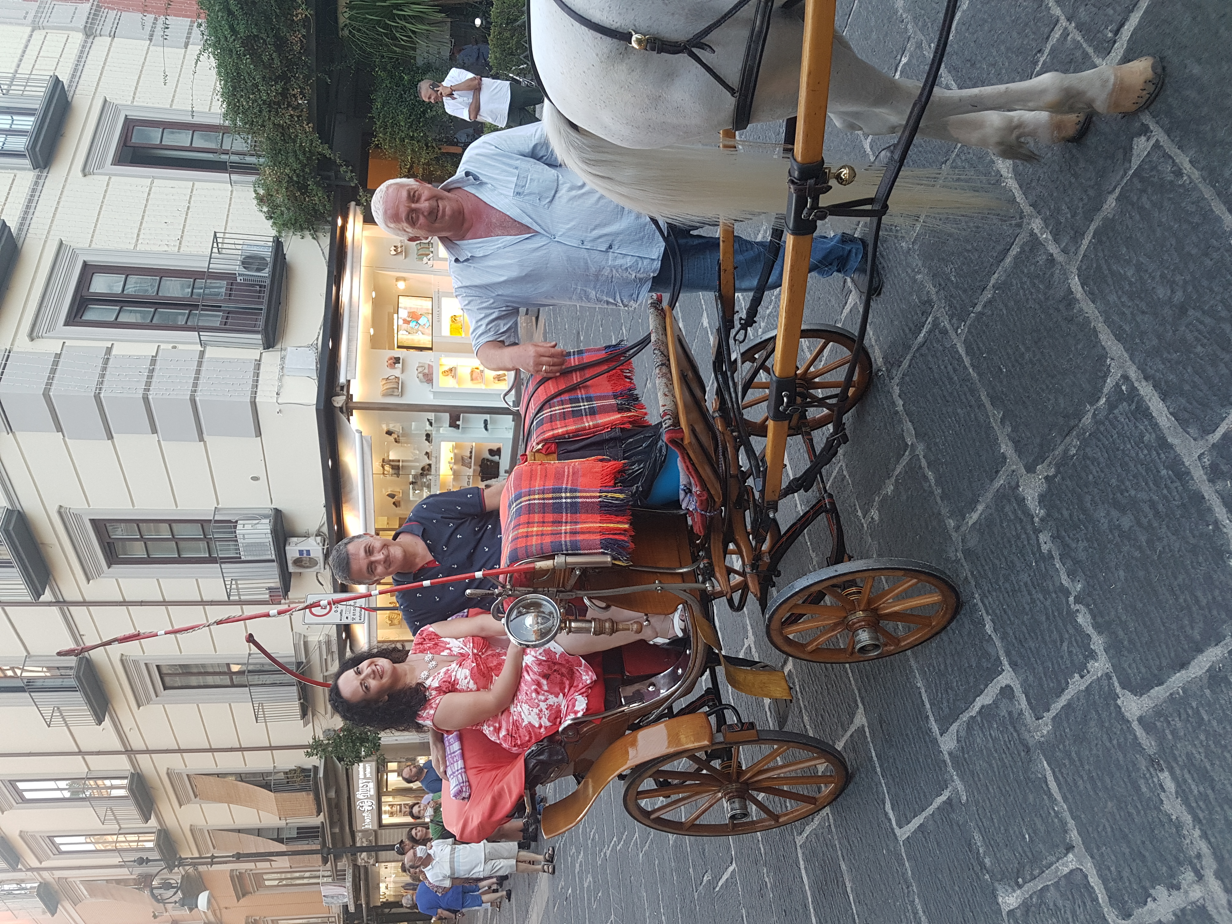 In giro per Sorrento, cantando in carrozza 