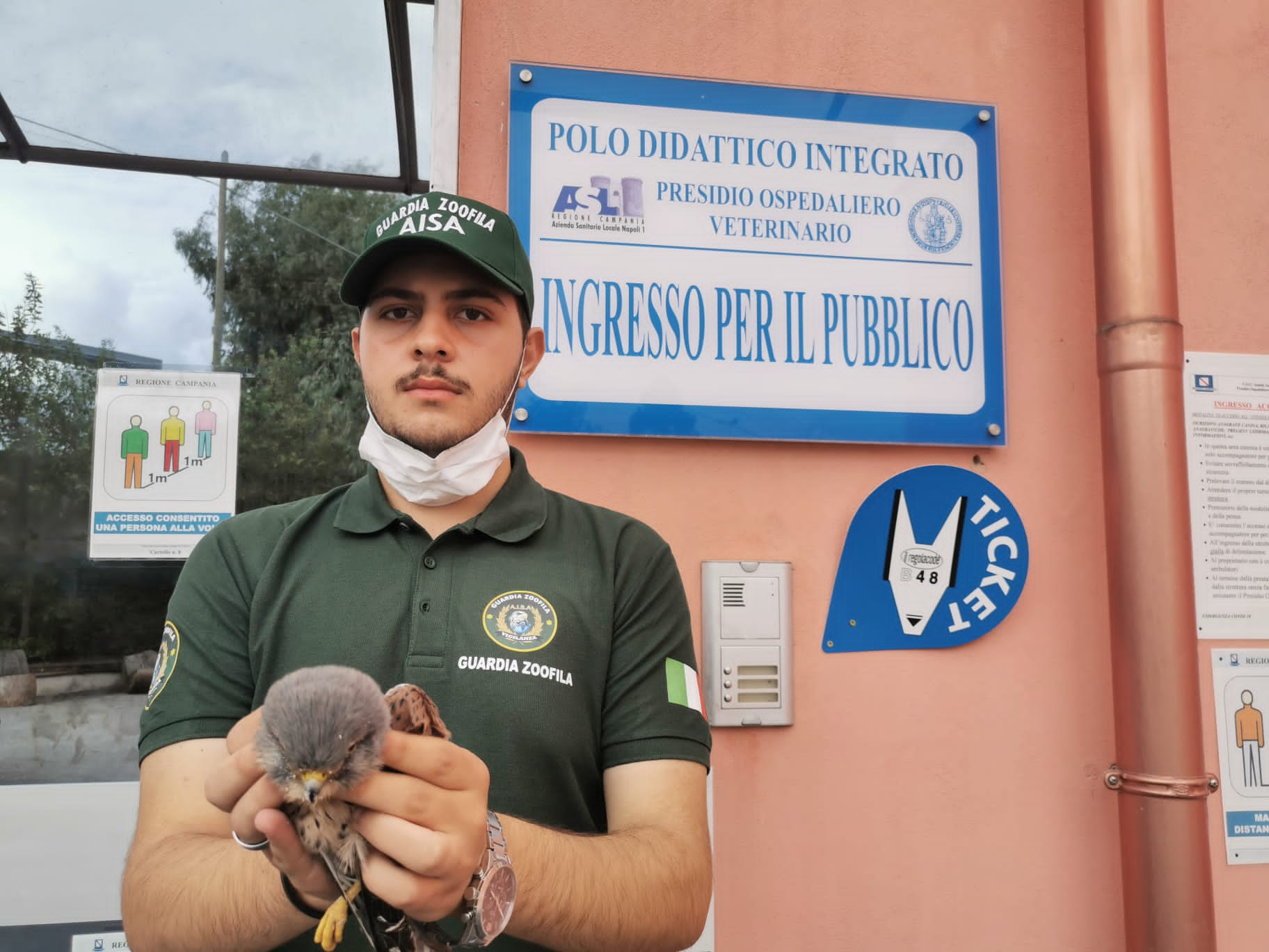 - Somma Vesuviana AISA e Polizia Municipale soccorrono un volatile protetto. (Scritto da Antonio Castaldo)