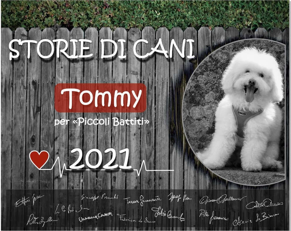 PREVENZIONE CARDIOLOGICA PER L’INFANZIA, PROMOZIONE DELLA LETTURA E AMORE PER GLI ANIMALI:  IN ARRIVO “IL CALENDARIO DI TOMMY 2021”  A SOSTEGNO DEL PROGETTO “PICCOLI BATTITI” 