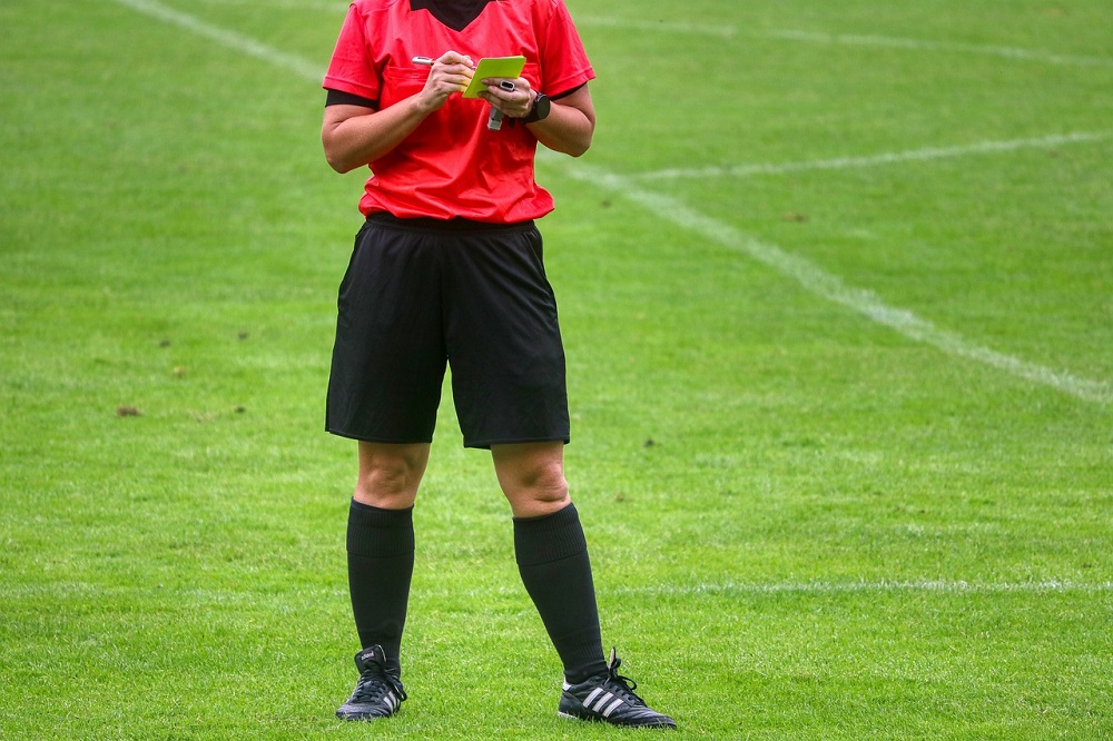 Roberto Papaverone e gli arbitri in Serie D: 