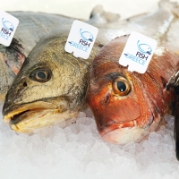 Fish from Greece, il miglior alleato per iniziare l’anno con gusto e leggerezza