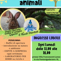 Il lunedì degli animali: ecologia e riciclo divertente