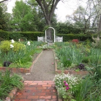 In Giardino: Abbellisci Facilmente il Giardino