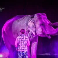 La grande carica emozionale del Maya Orfei Circo Madagascar a Civitanova Marche