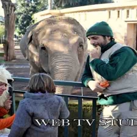 Bioparco di Roma: domenica 23 febbraio 2020, Carnevale con tutti i bambini mascherati da animali a €10