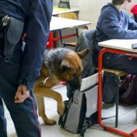 Lo spaccio di droga nelle scuole