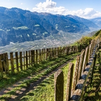 SOSPESO L’ALPENPLUS ÖTZI TRAILRUN DI NATURNO. ARRIVEDERCI DEL COMITATO: “RECUPEREREMO LA DATA”