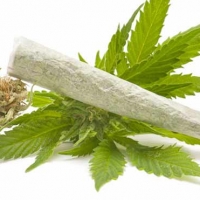 Gli effetti collaterali della marijuana