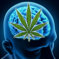 Gli effetti della marijuana sul cervello