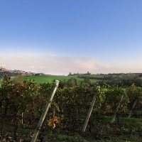 Hic et Nunc presenta  il Barbera del Monferrato Superiore Docg MONumento 2017: una nuova etichetta per un nuovo sguardo sul Monferrato