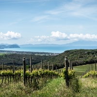 Tenuta Argentiera: quando l’eleganza secolare di un territorio diventa vino