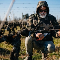 Marco Simonit: “Italiani, volete lavorare in vigna? Preparatevi, c’è lavoro per tutti!”