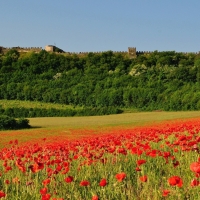 Riapre questo weekend la Rocca di Lonato del Garda, per una rilassante giornata all’aperto, fra natura e storia