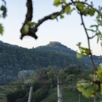 ASOLO PROSECCO, AL VIA IL NUOVO PIANO DEL “CRU” DI COLLINA