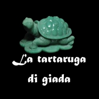 “La tartaruga di giada” L’ultimo romanzo giallo di Aurelio Armio