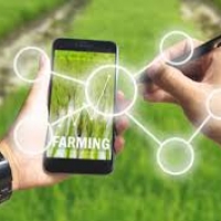 “Macchinari Innovativi”, il nuovo bando per la digitalizzazione dell’agroalimentare