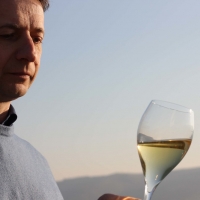 GIANNI TESSARI PRESENTA SCALETTE: IL SOAVE CLASSICO DOC CHE ESALTA LA TRADIZIONE