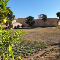 IL RUOLO DEI BENI SOCIALI E CULTURALI PER LO SVILUPPO DEL TERRITORIO E  LA VALORIZZAZIONE DEL PARCO ANTICO DI MAREDOLCE, UN SEMINARIO A PALERMO