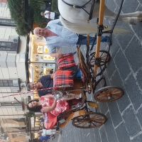 In giro per Sorrento, cantando in carrozza 