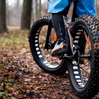 Cos'è una Fat Bike?