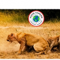 Per andare alla scoperta del Kenya scegliamo Award Tours and Safaris