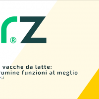 Benessere e immunità delle vacche da latte: perché è importante che il rumine funzioni al meglio