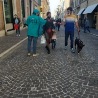 La verità sulla droga permea le strade di Jesi