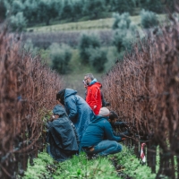 Al via il 12° anno della Scuola Italiana di Potatura della Vite SIMONIT&SIRCH