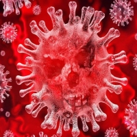 Coronavirus è gli alimenti, rischi e precauzioni