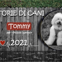 PREVENZIONE CARDIOLOGICA PER L’INFANZIA, PROMOZIONE DELLA LETTURA E AMORE PER GLI ANIMALI:  IN ARRIVO “IL CALENDARIO DI TOMMY 2021”  A SOSTEGNO DEL PROGETTO “PICCOLI BATTITI” 