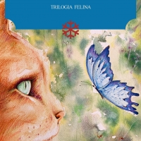 Esce oggi il romanzo dello scrittore sanremese Dario Daniele 'La costellazione del Gatto' 