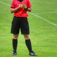 Roberto Papaverone e gli arbitri in Serie D: 