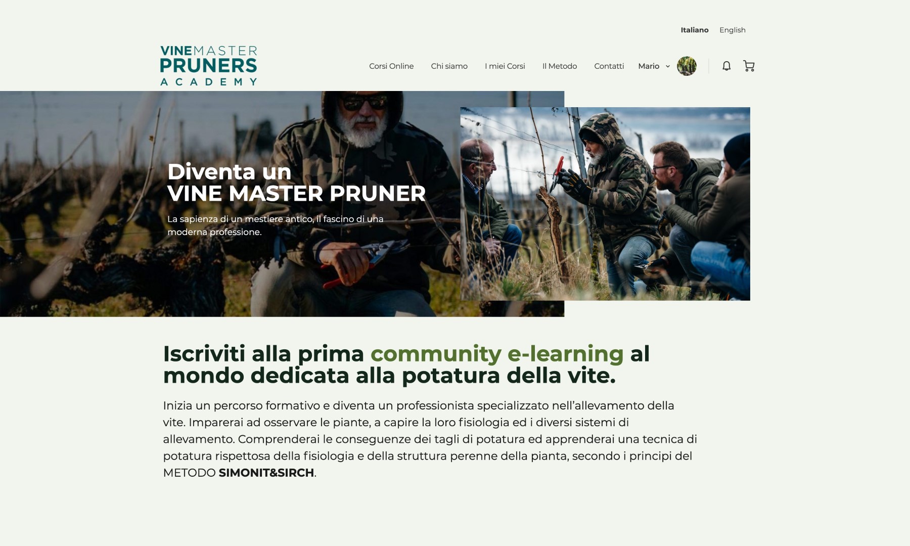 VINE MASTER PRUNERS Academy – SIMONIT&SIRCH lanciano la prima piattaforma on-line al mondo dedicata alla formazione sulla potatura della vite