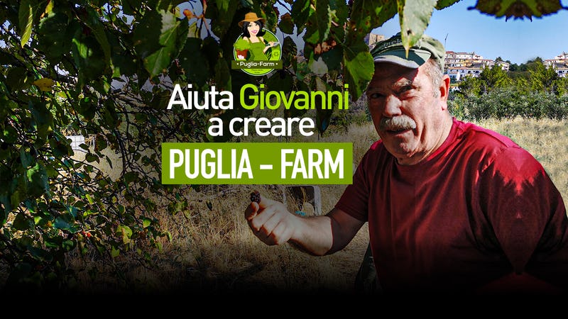 Puglia-Farm: il sogno di Giovanni per la sua Terra