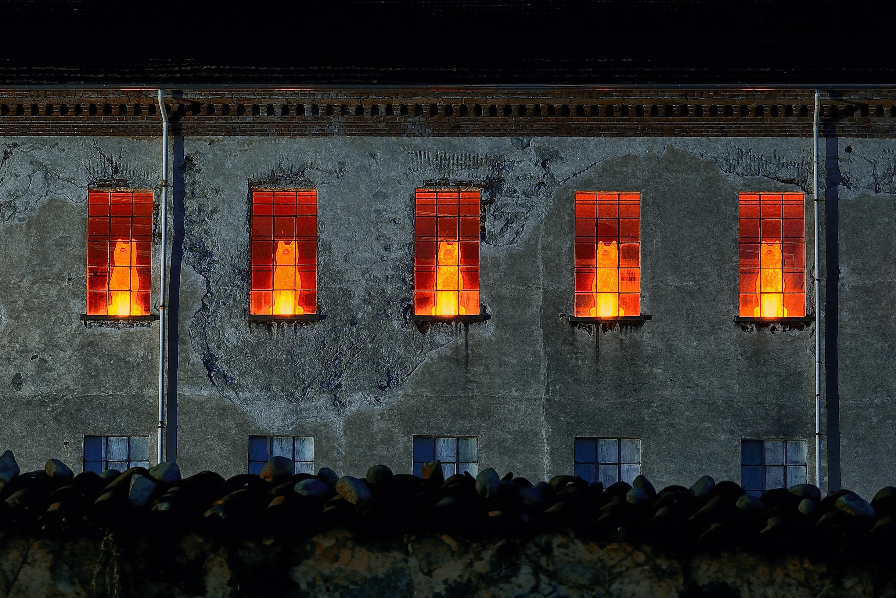 La Sala Luce di Tollegno 1900 si veste con i lupi di Cracking Art