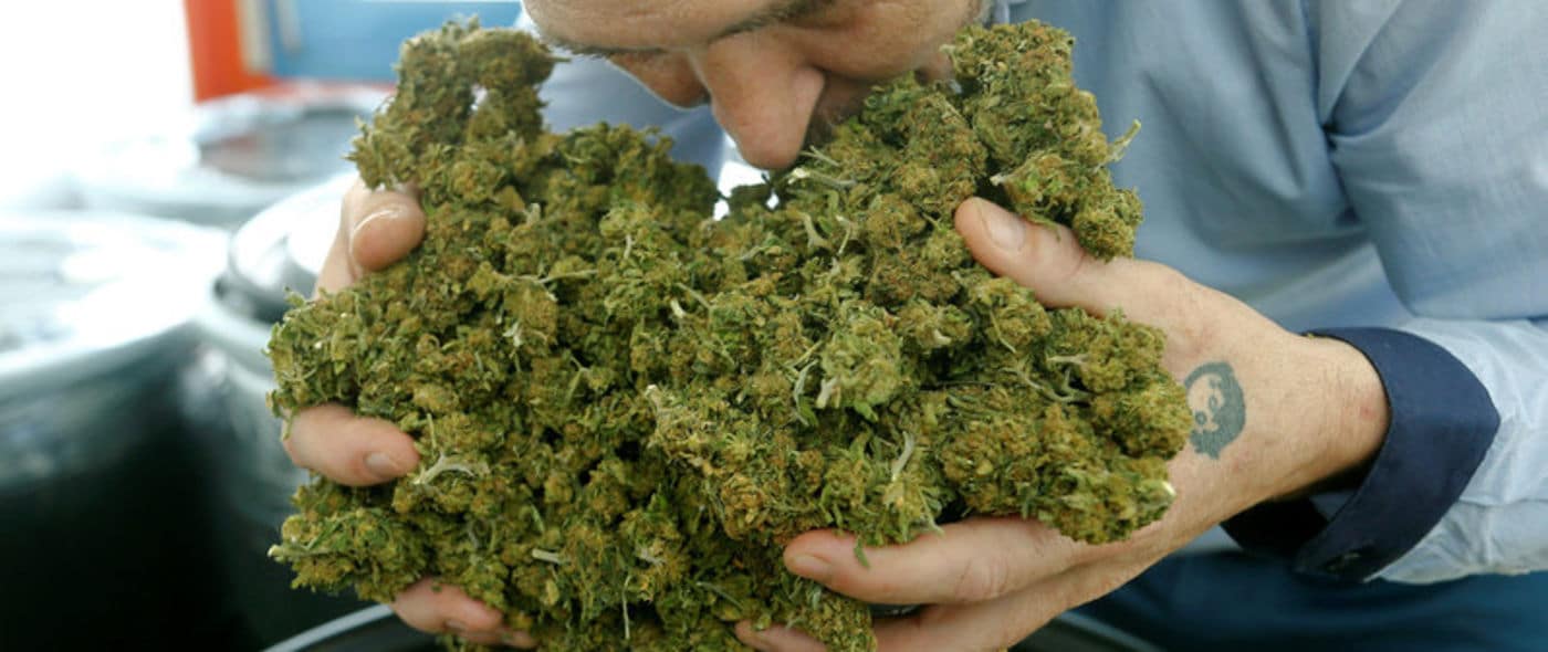 A Roma sequestrata marijuana vera marchiata come light