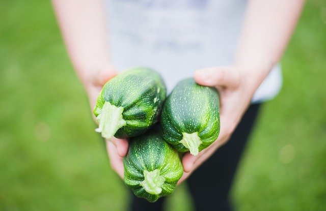 5 idee per ricette con contorno a base di zucchine