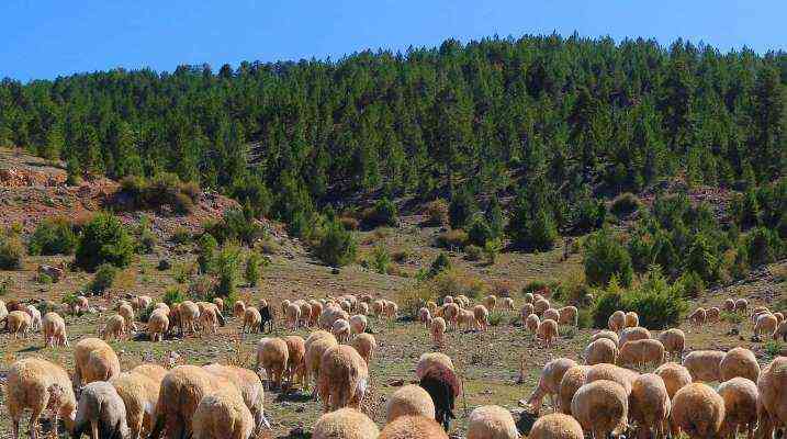 TURISMO SOSTENIBILE. DAL GAL MADONIE AIUTI A GIOVANI E DONNE PER LO SVILUPPO DELLE ZONE RURALI 