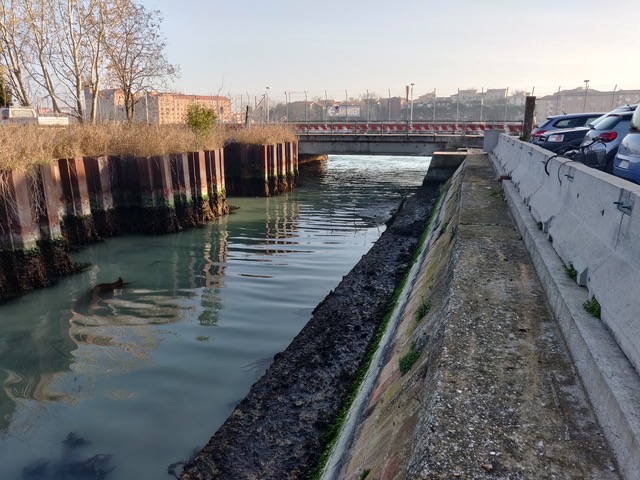 PONTE SAN NICOLÒ A VENEZIA, AL VIA LA RISTRUTTURAZIONE 