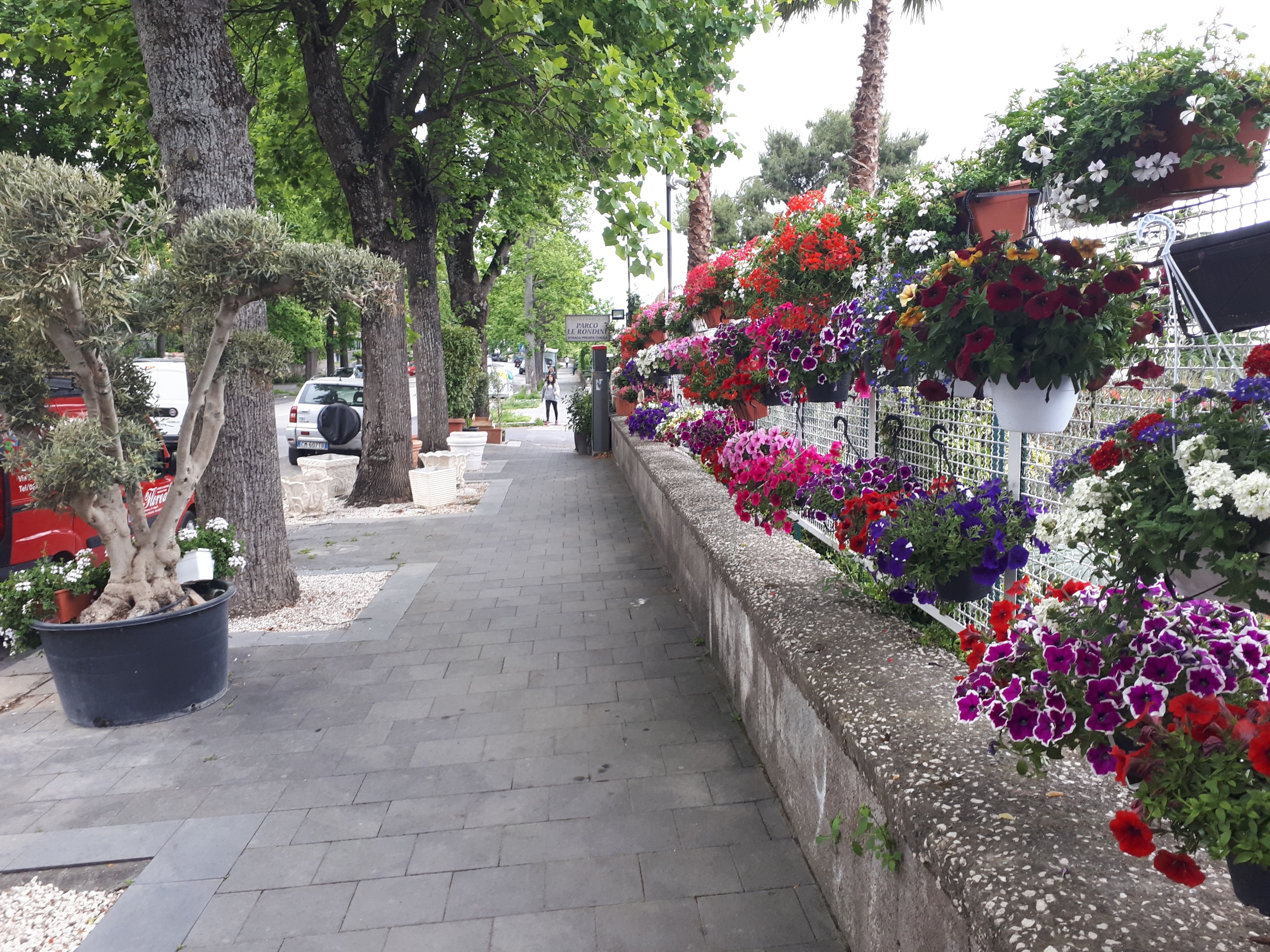 Via Petrarca il giardino di Napoli